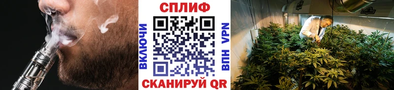 наркота Рудня Канабис сатива